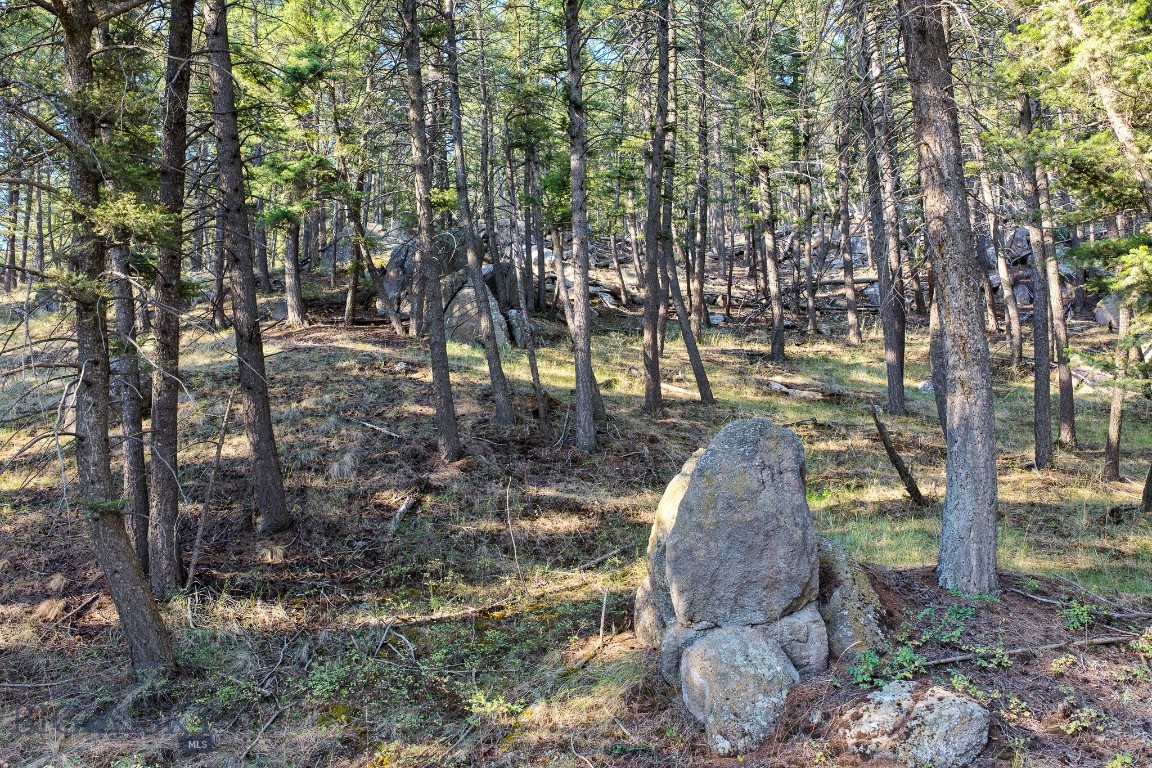 93 Saddle Mountain Drive Property Photo 17