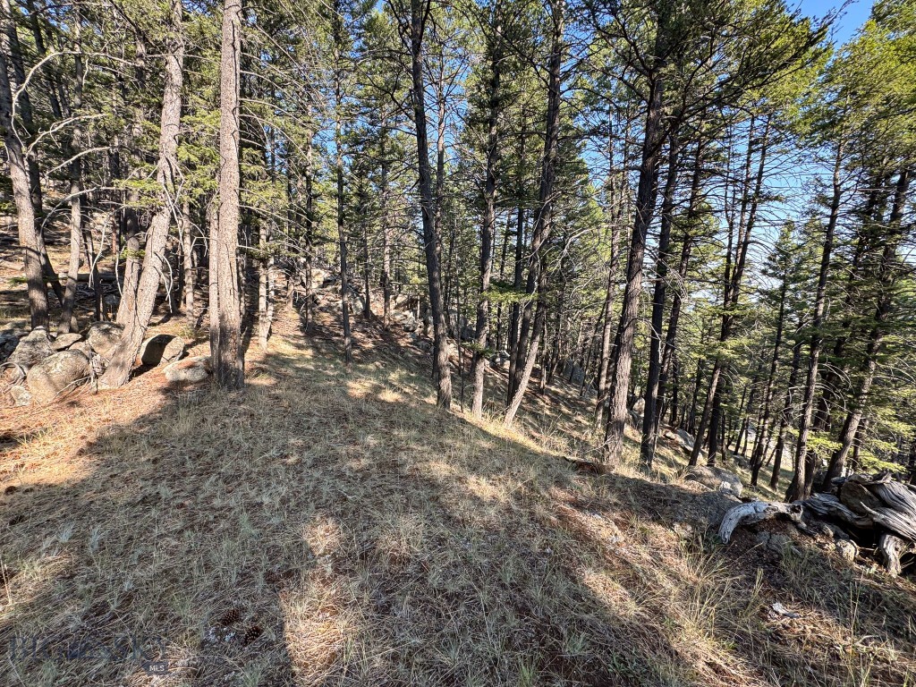 93 Saddle Mountain Drive Property Photo 18
