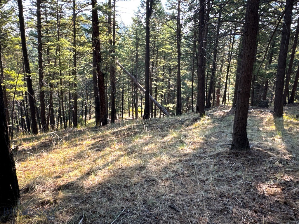 93 Saddle Mountain Drive Property Photo 19