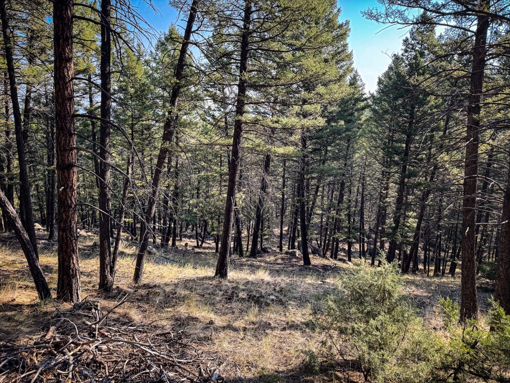 93 Saddle Mountain Drive Property Photo 20