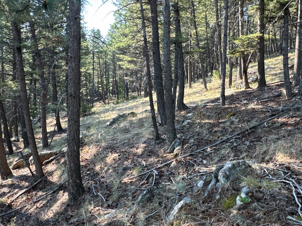 93 Saddle Mountain Drive Property Photo 22