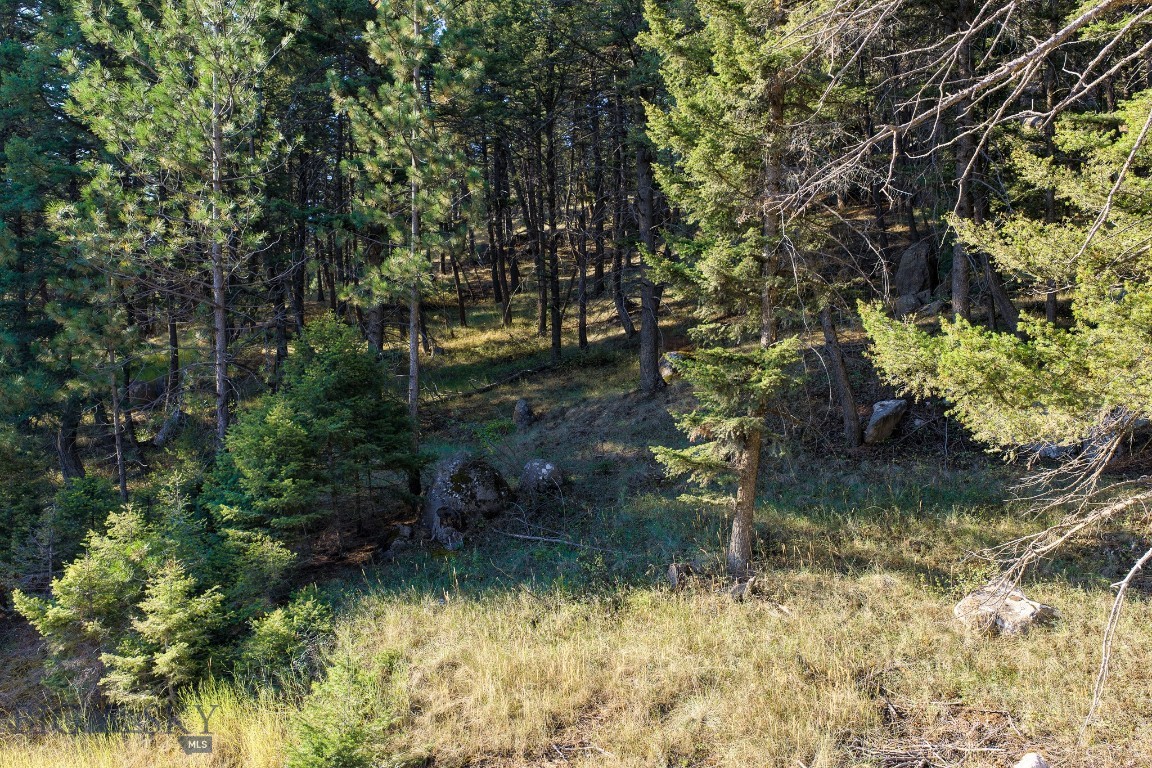 93 Saddle Mountain Drive Property Photo 24
