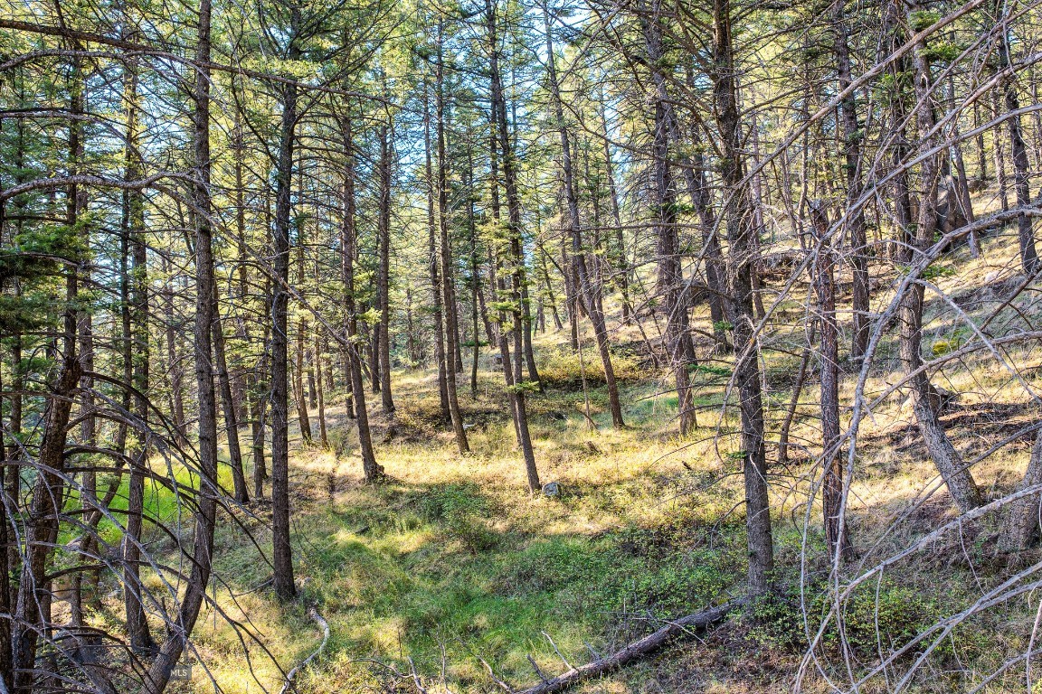 93 Saddle Mountain Drive Property Photo 25