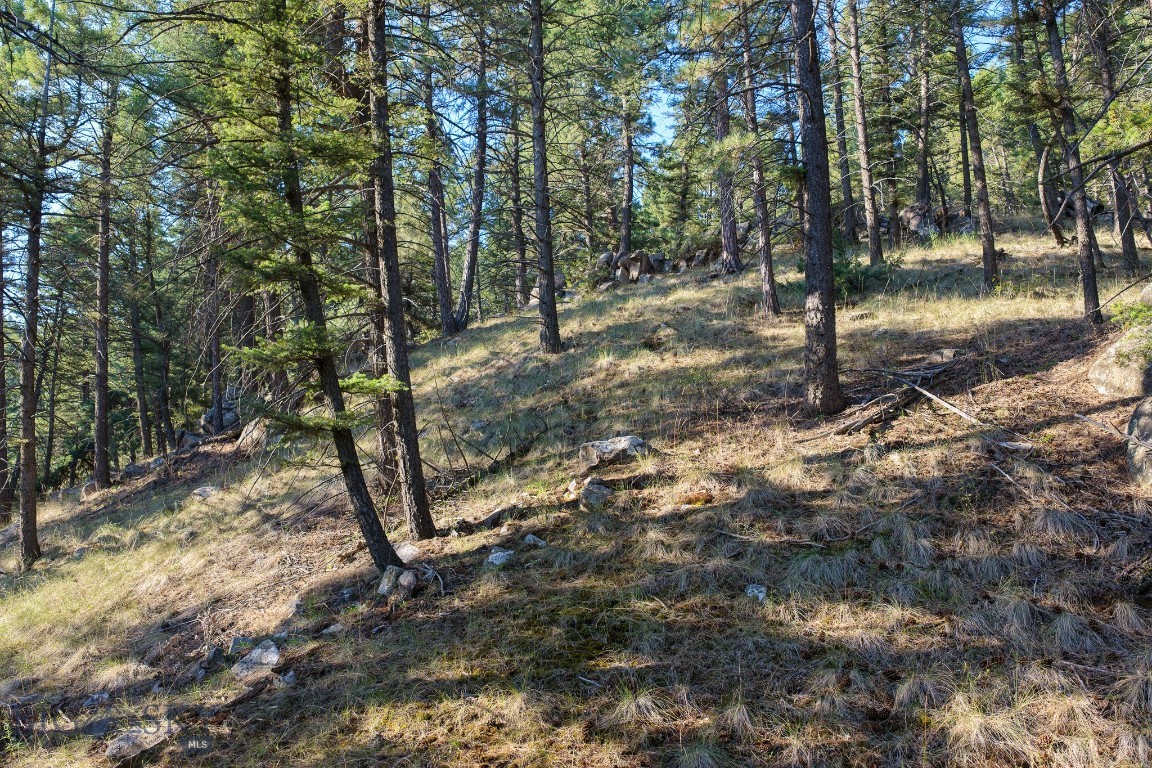 93 Saddle Mountain Drive Property Photo 28