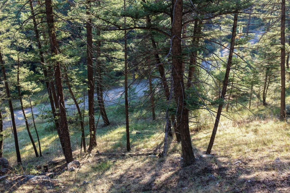 93 Saddle Mountain Drive Property Photo 30