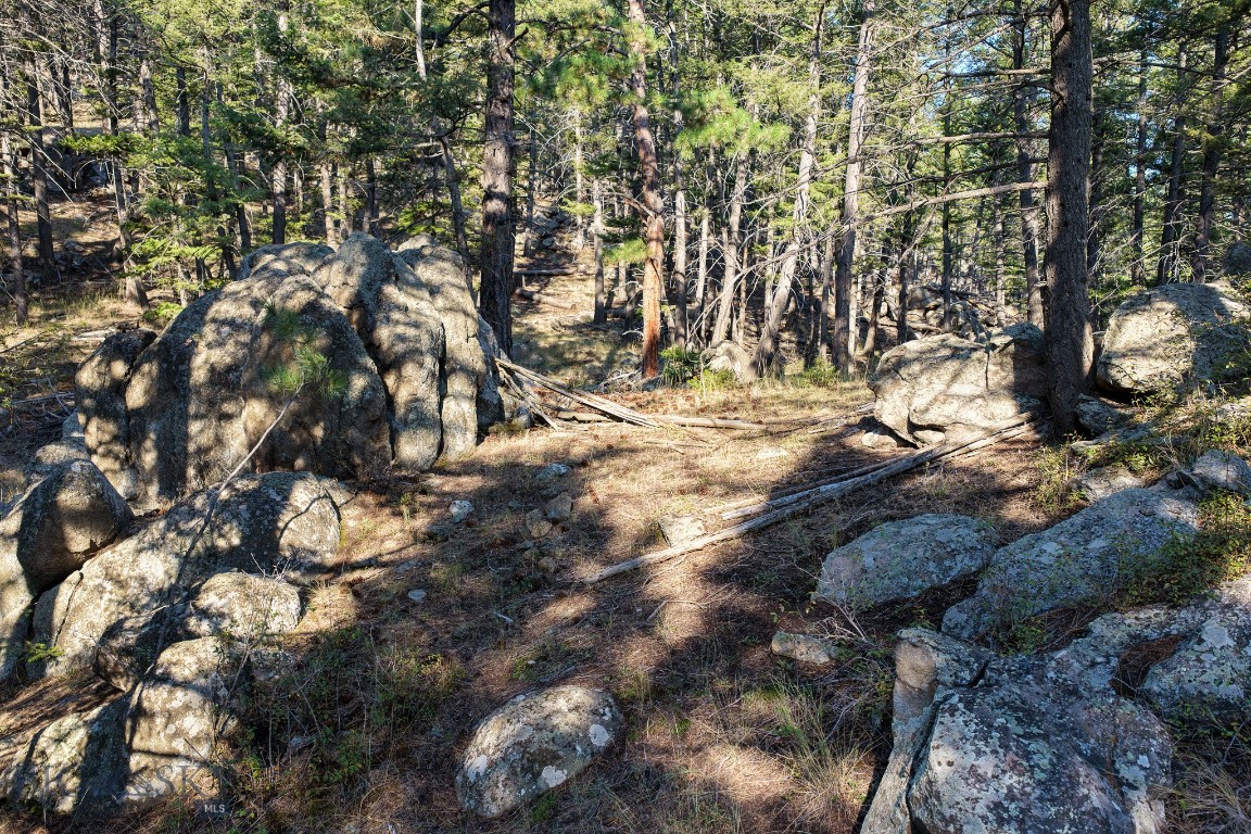 93 Saddle Mountain Drive Property Photo 34