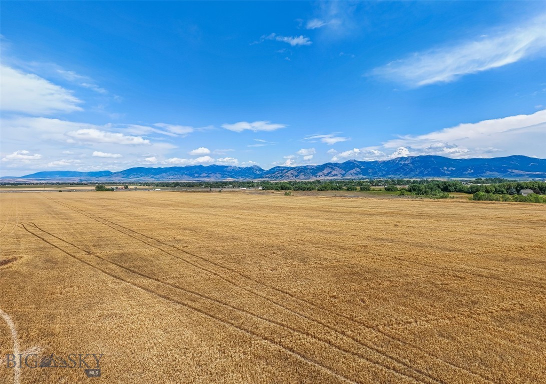 Tbd Harper Puckett - Parcel 2 Property Photo 9