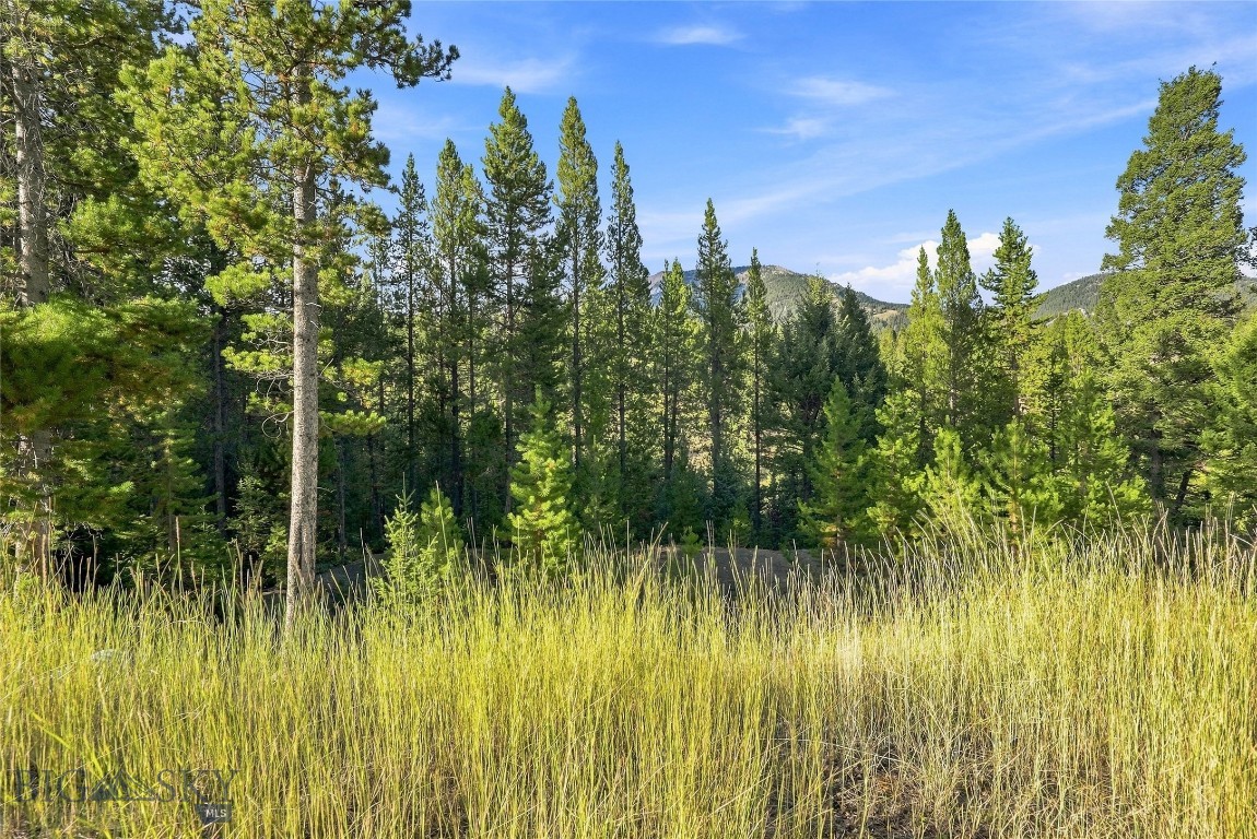 25 Little Spike Property Photo 18