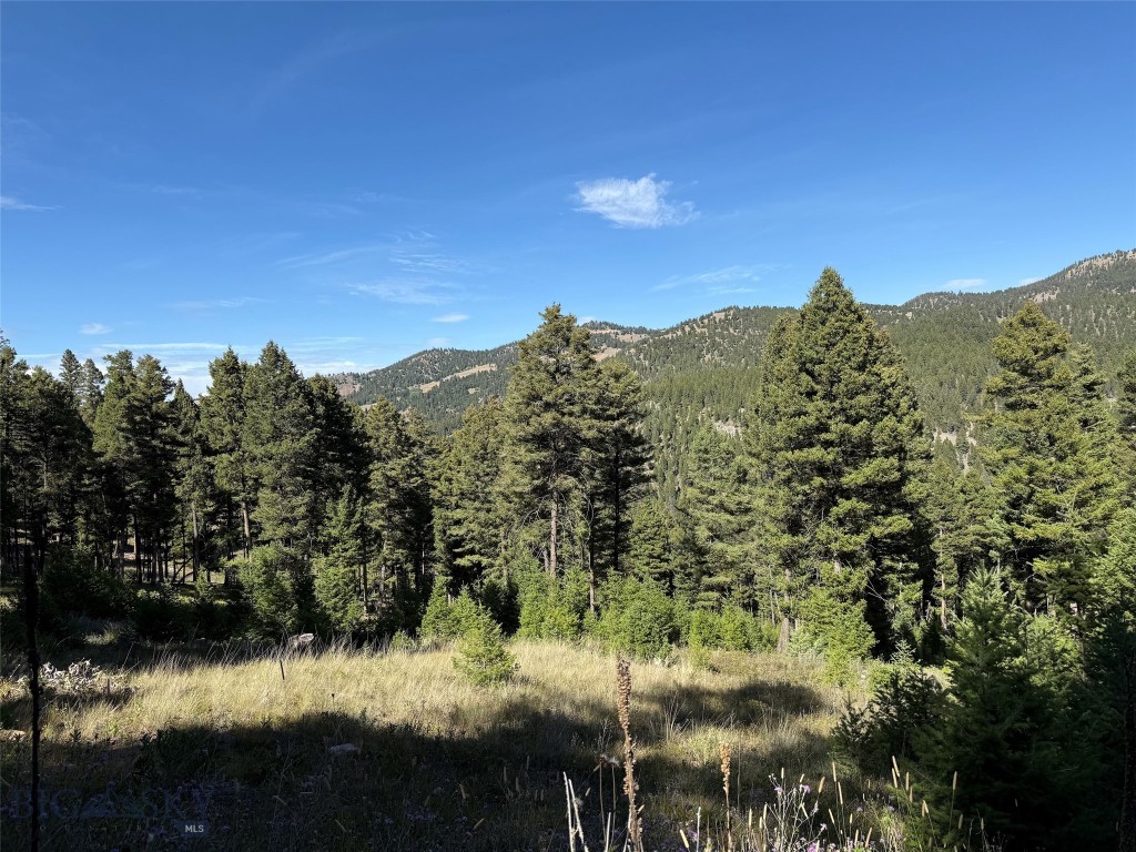 Tbd A Chimney Lakes Road Property Photo 2