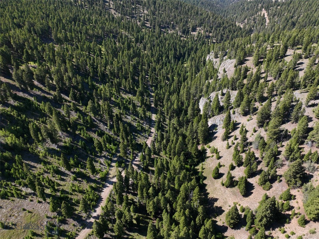 Tbd A Chimney Lakes Road Property Photo 3