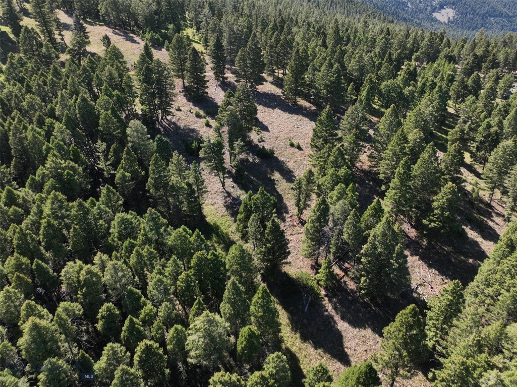 Tbd A Chimney Lakes Road Property Photo 6