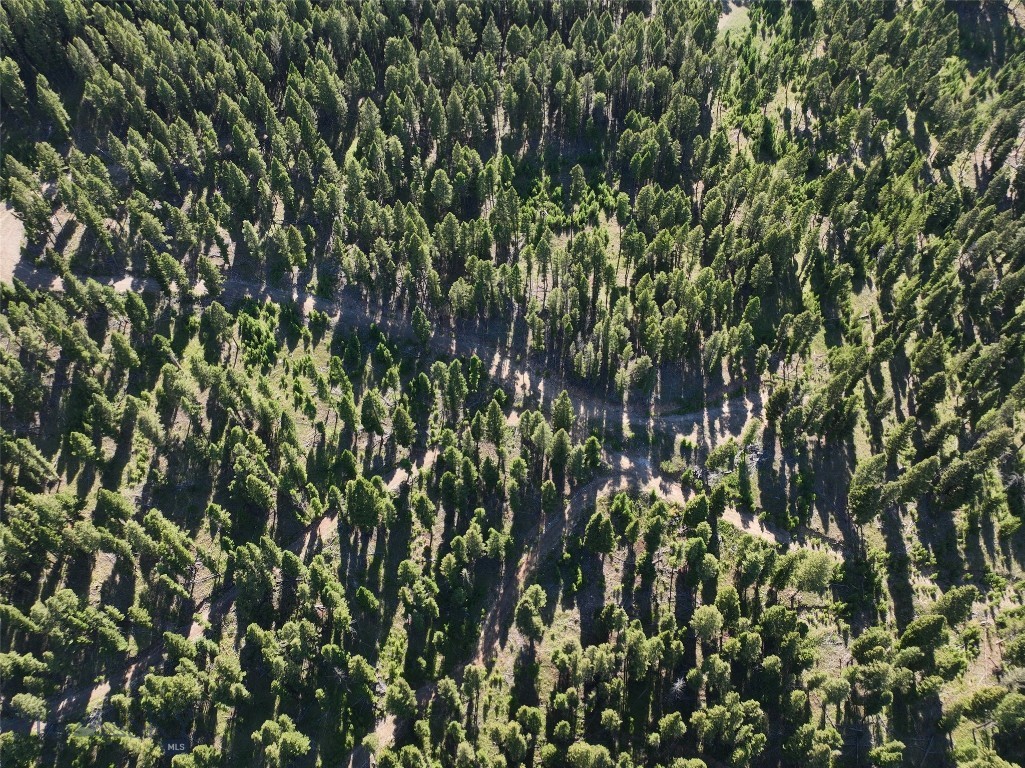 Tbd A Chimney Lakes Road Property Photo 10
