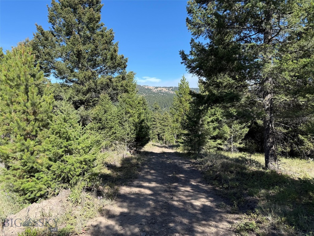 Tbd A Chimney Lakes Road Property Photo 13