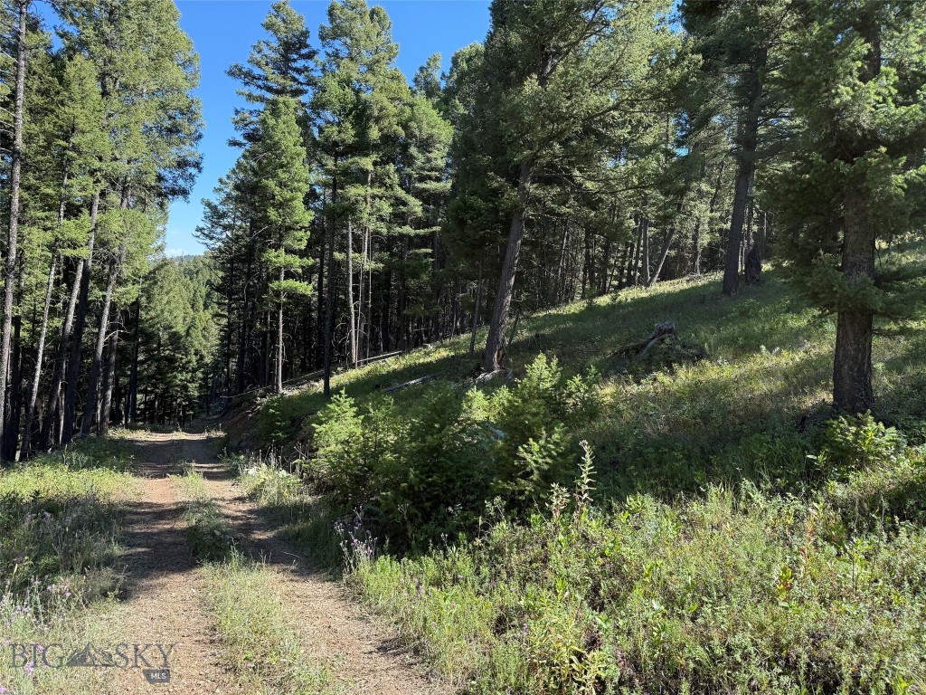 Tbd A Chimney Lakes Road Property Photo 15