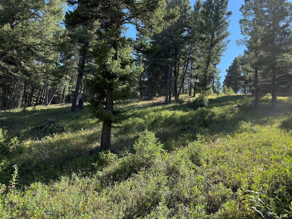 Tbd A Chimney Lakes Road Property Photo 16