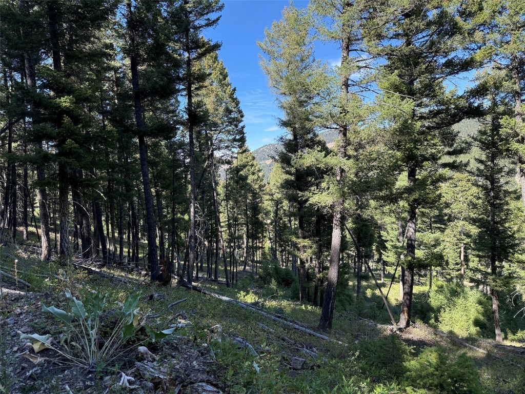 Tbd A Chimney Lakes Road Property Photo 17