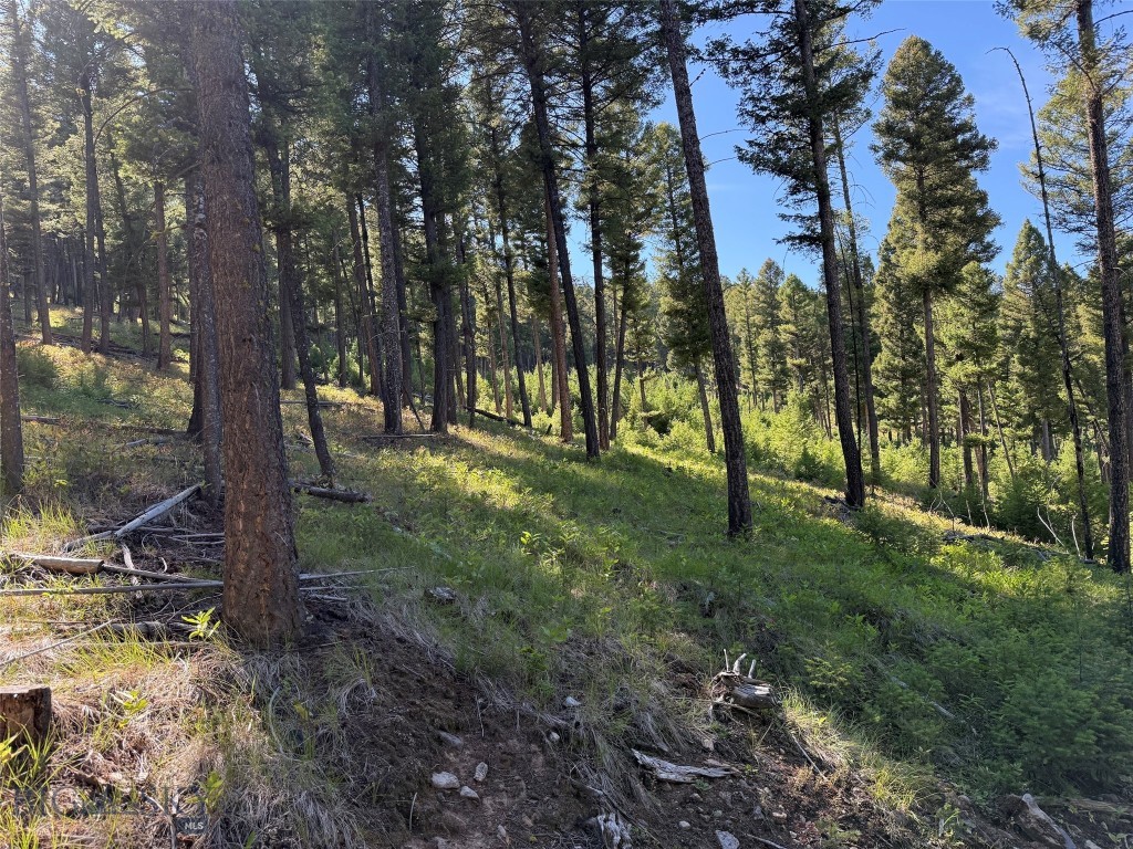 Tbd A Chimney Lakes Road Property Photo 18