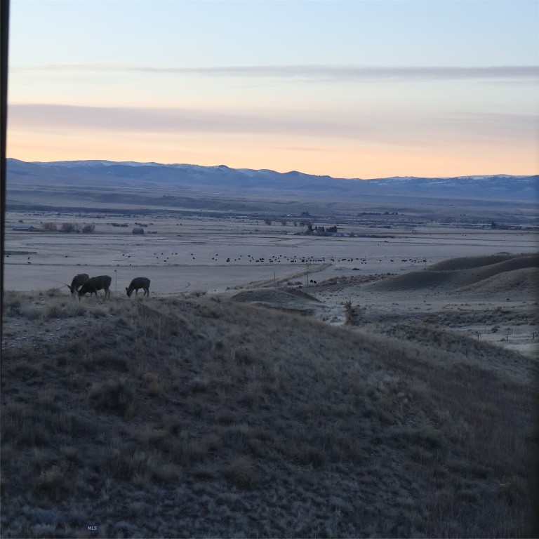 16 Cactus Ridge Road Property Photo 77