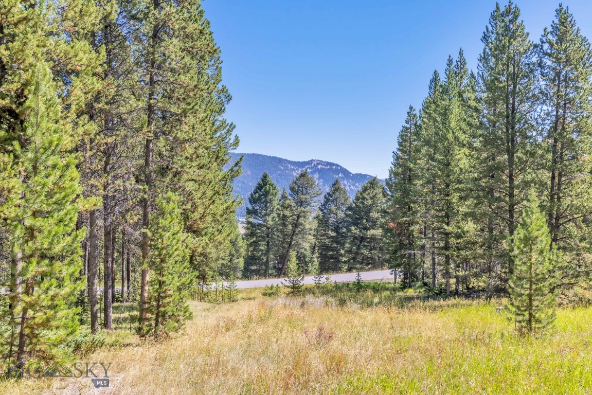 Tbd Silverado Trail Property Photo 4