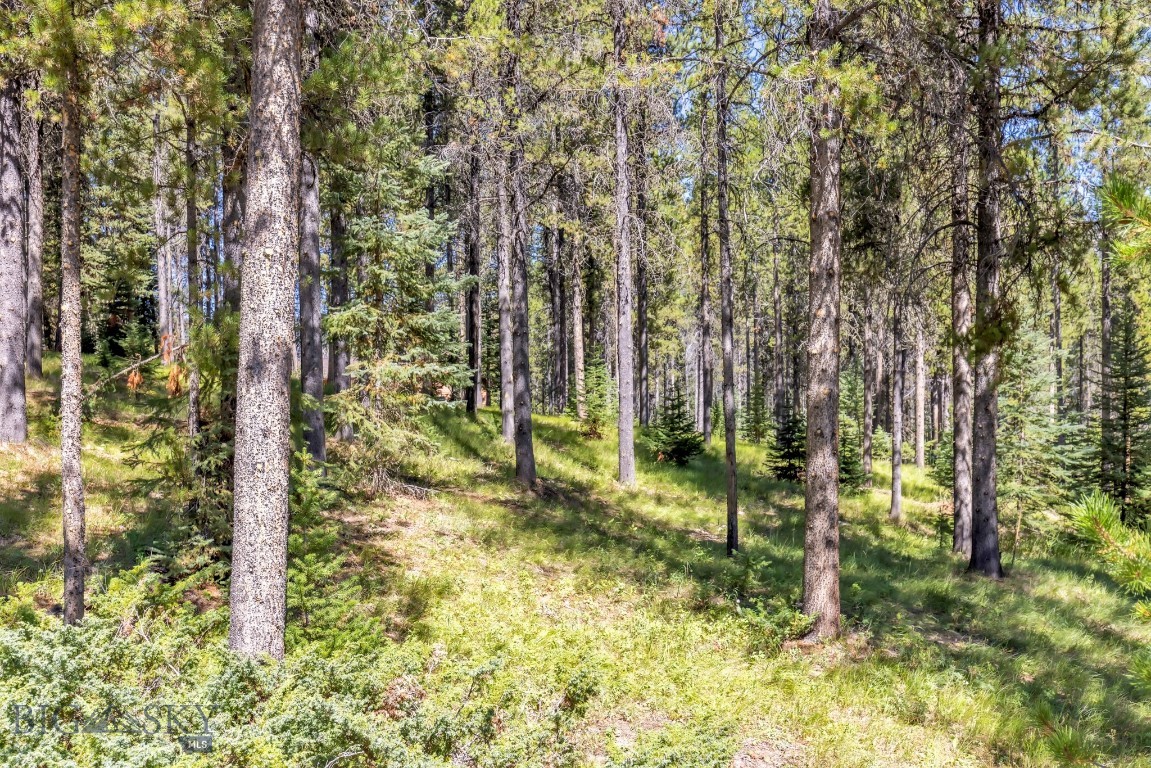 Tbd Silverado Trail Property Photo 26