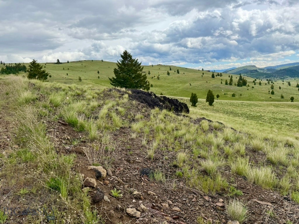 3072 Wildhorse Meadow Property Photo 1