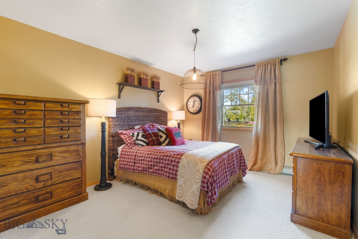 1310 Baldy Mountain Lane Property Photo 41