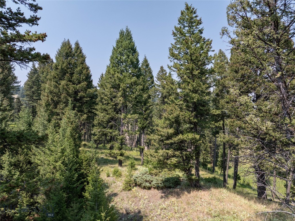 116 Elk Ridge Road Property Photo 65