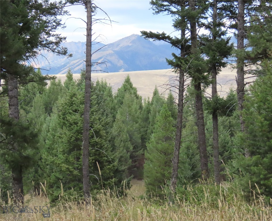 116 Elk Ridge Road Property Photo 79