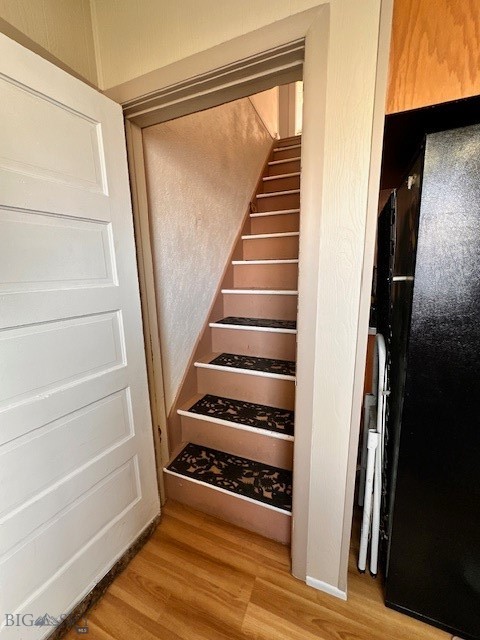 309 Maple Street Property Photo 14
