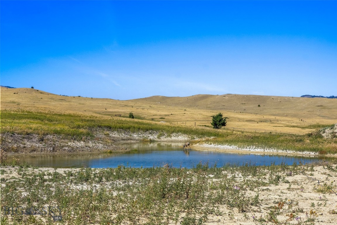39 Sweetgrass Property Photo 11