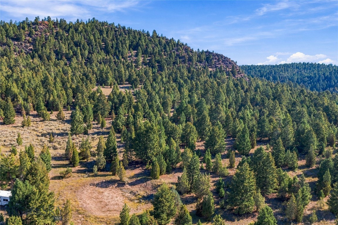 Lot 60 Pony Express Property Photo 3