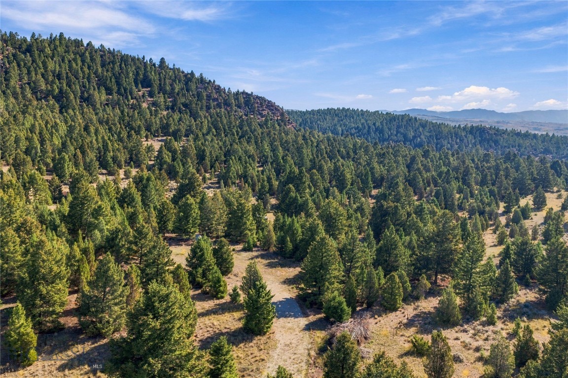 Lot 60 Pony Express Property Photo 17