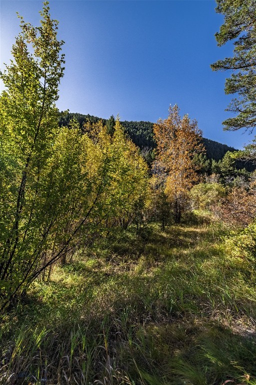 601 Whites Gulch Road Property Photo 34