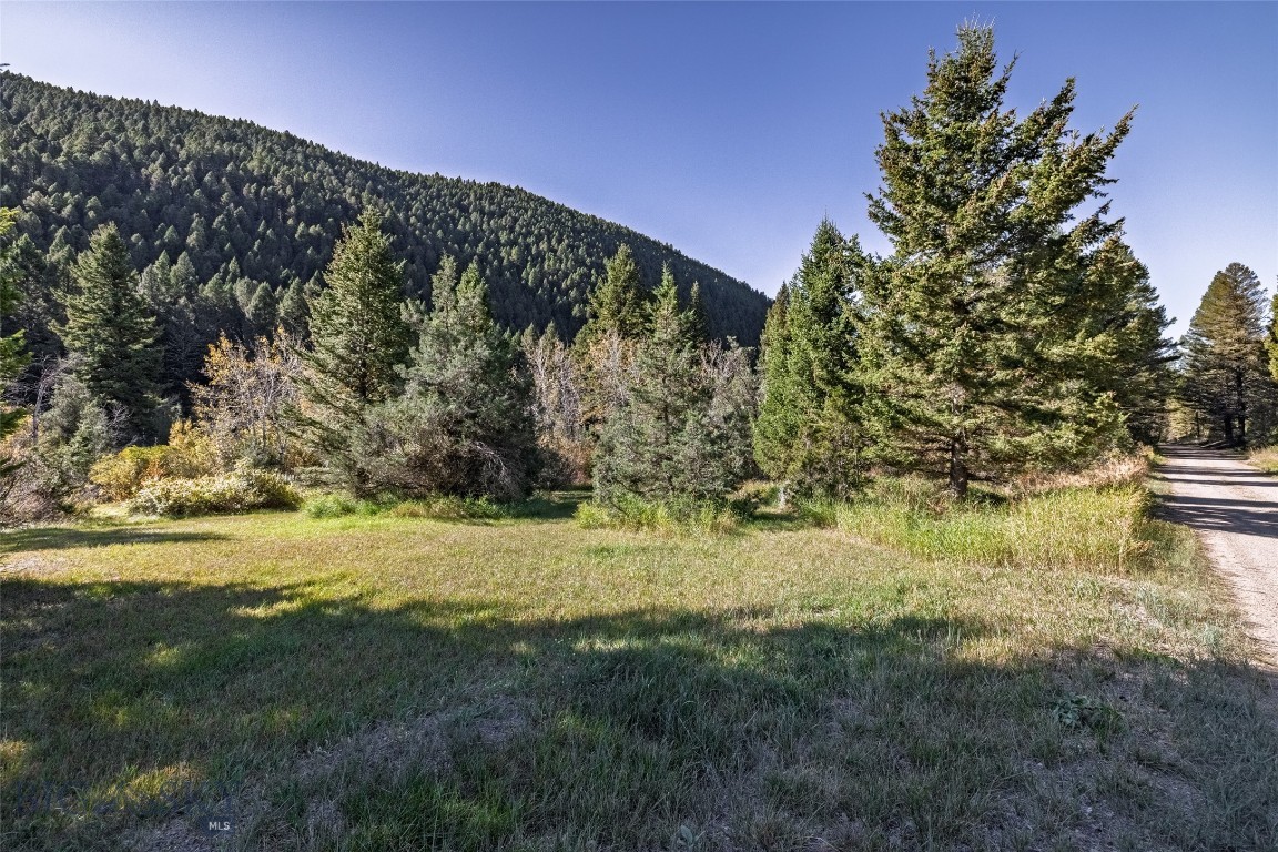 601 Whites Gulch Road Property Photo 38
