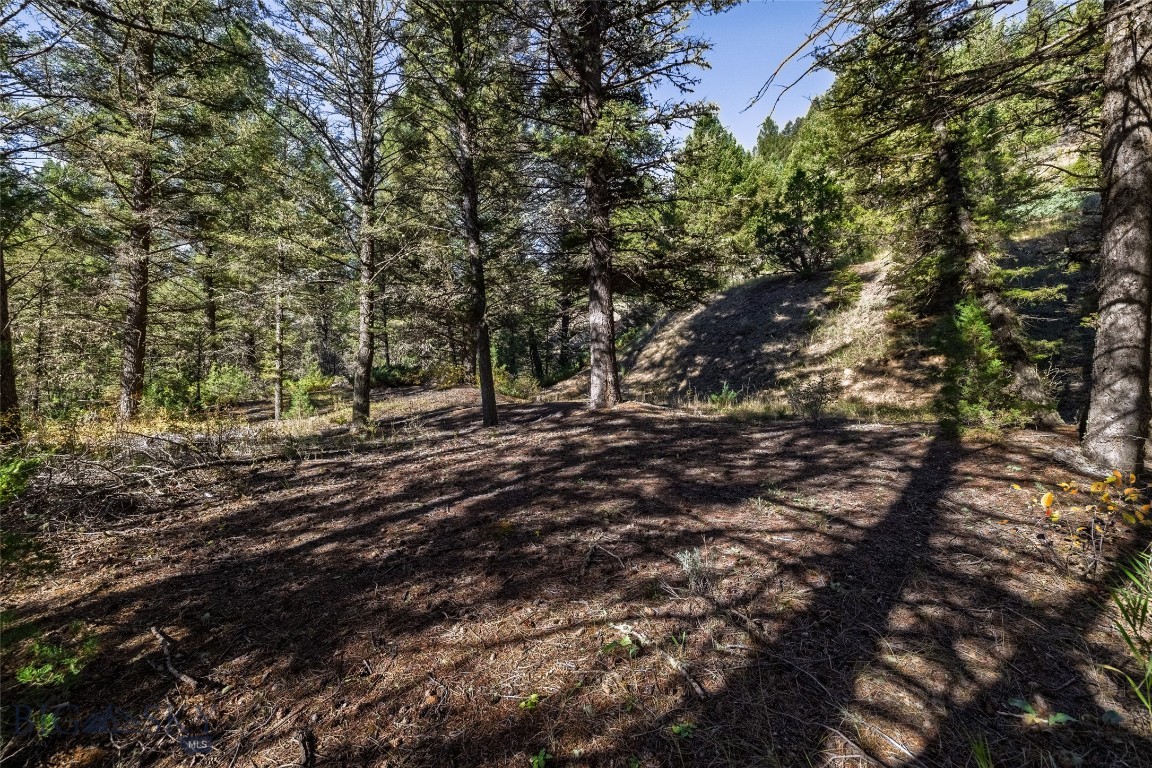601 Whites Gulch Road Property Photo 40