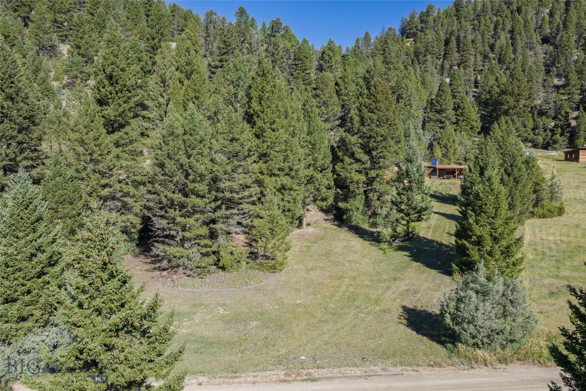 601 Whites Gulch Road Property Photo 49