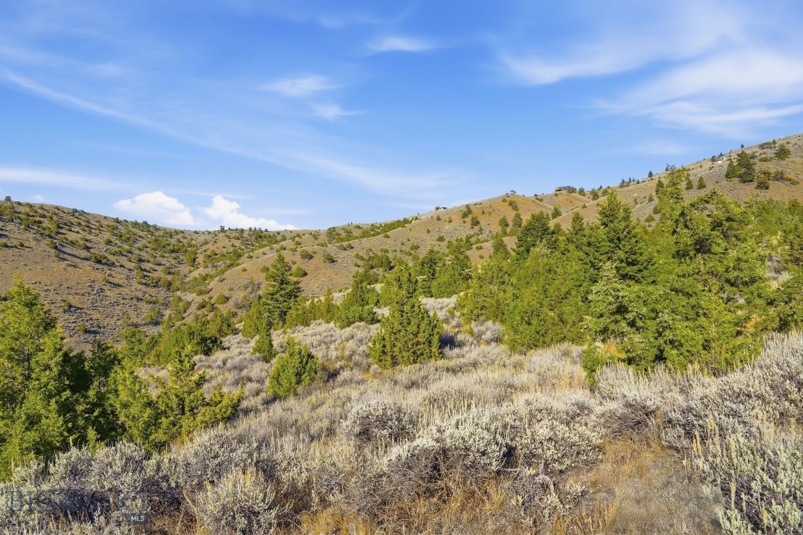 Tbd Broken Creek Road Property Photo 4