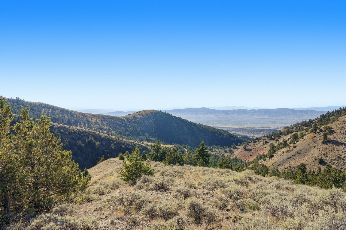 Tbd Broken Creek Road Property Photo 6