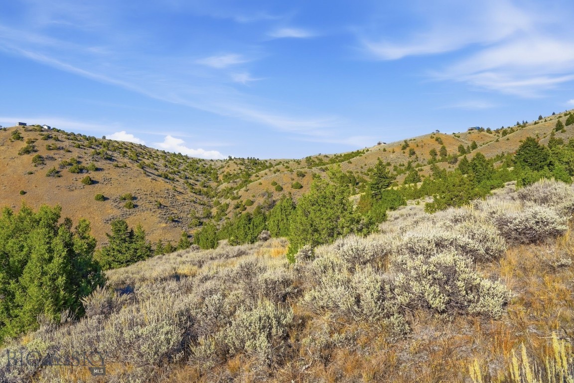 Tbd Broken Creek Road Property Photo 7