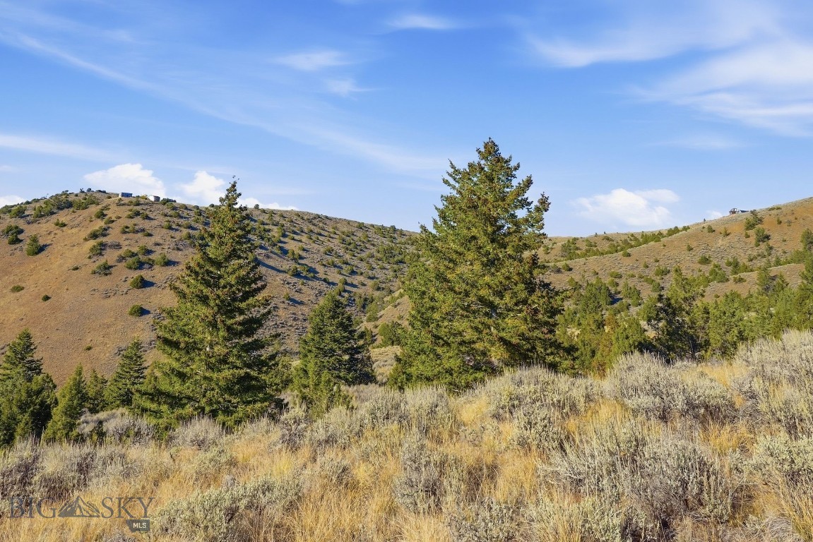 Tbd Broken Creek Road Property Photo 9