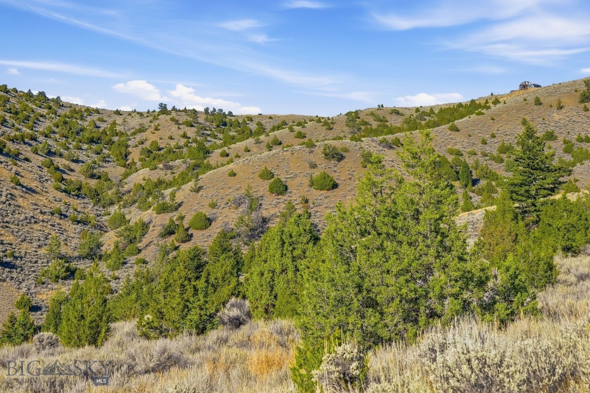Tbd Broken Creek Road Property Photo 14