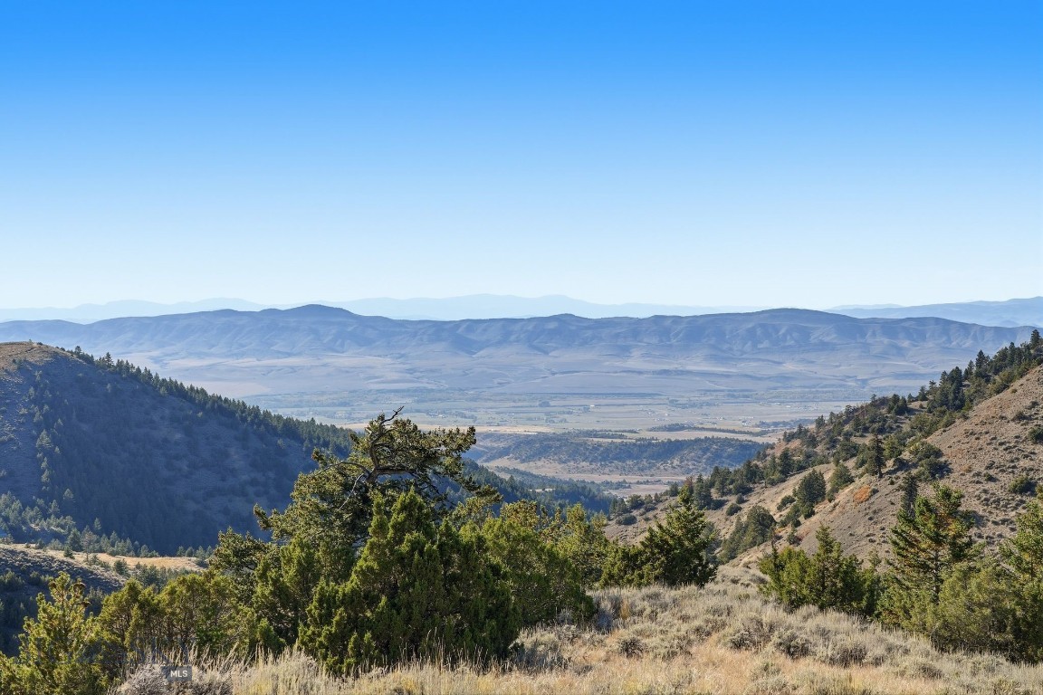 Tbd Broken Creek Road Property Photo 22
