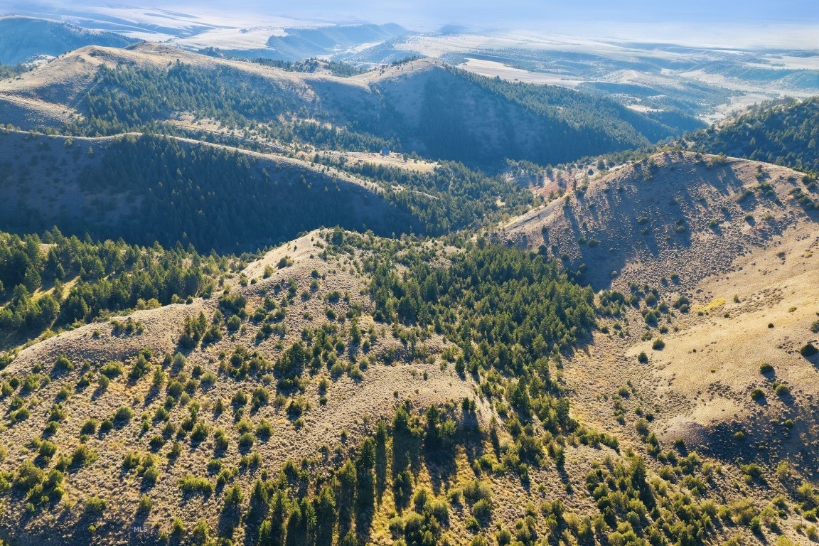Tbd Broken Creek Road Property Photo 24