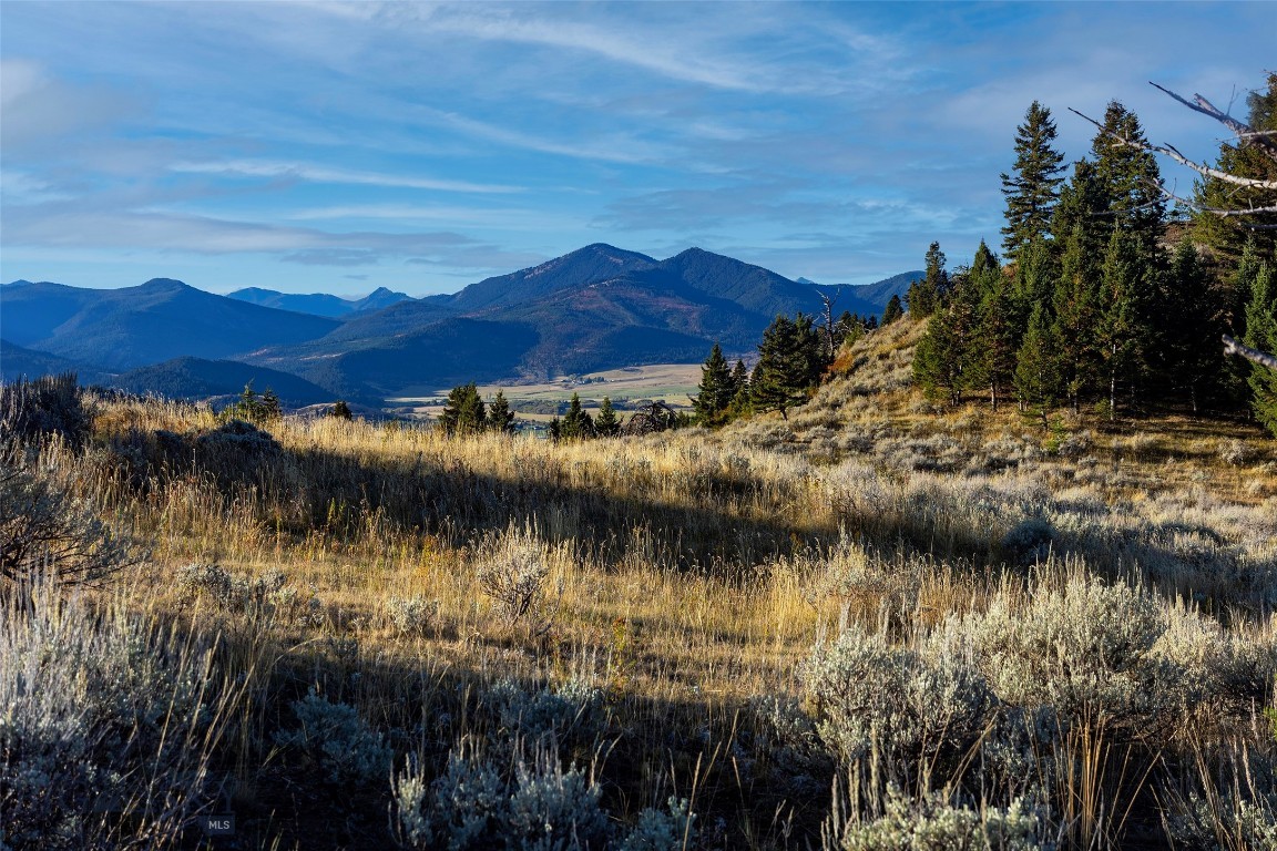 Nhn Kelly Canyon Road Property Photo 15