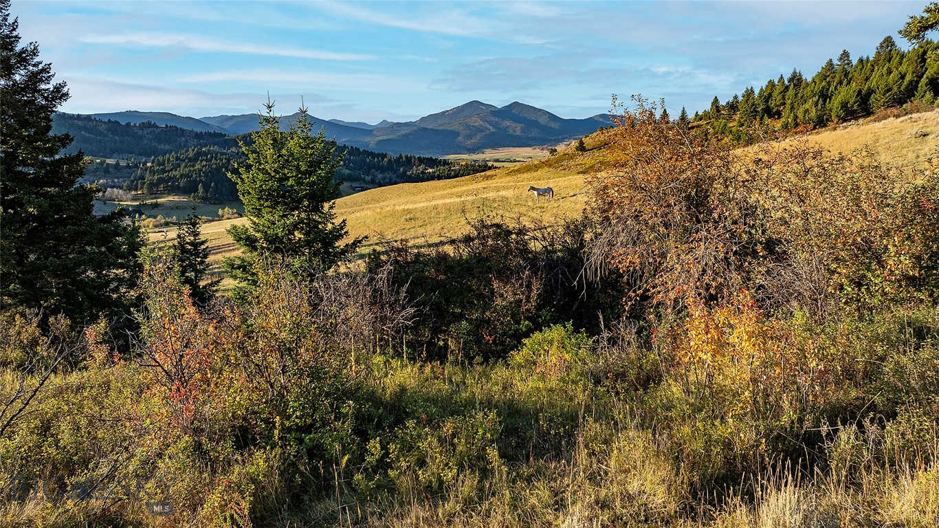 Nhn Kelly Canyon Road Property Photo 18