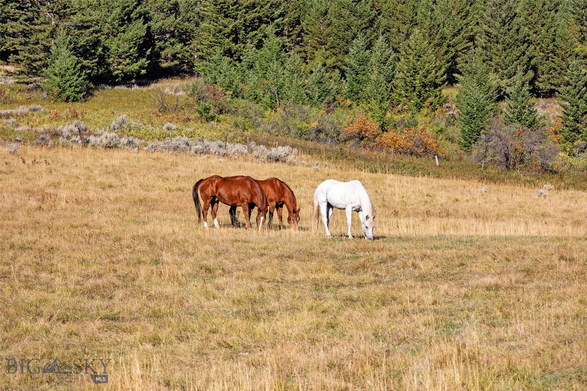 Nhn Kelly Canyon Road Property Photo 21