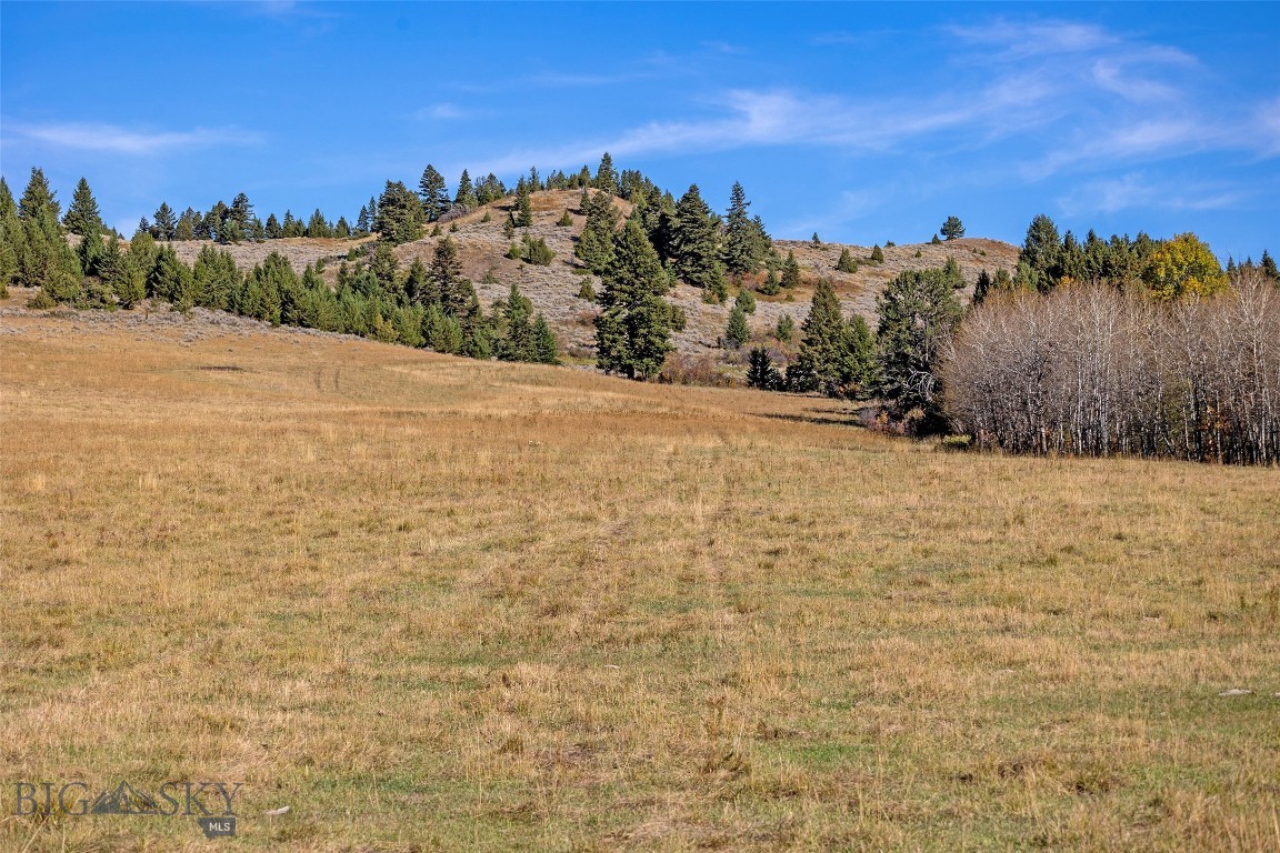Nhn Kelly Canyon Road Property Photo 22