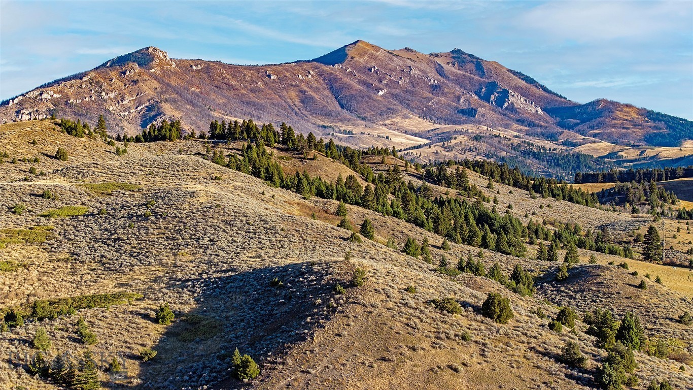 Nhn Kelly Canyon Road Property Photo 23