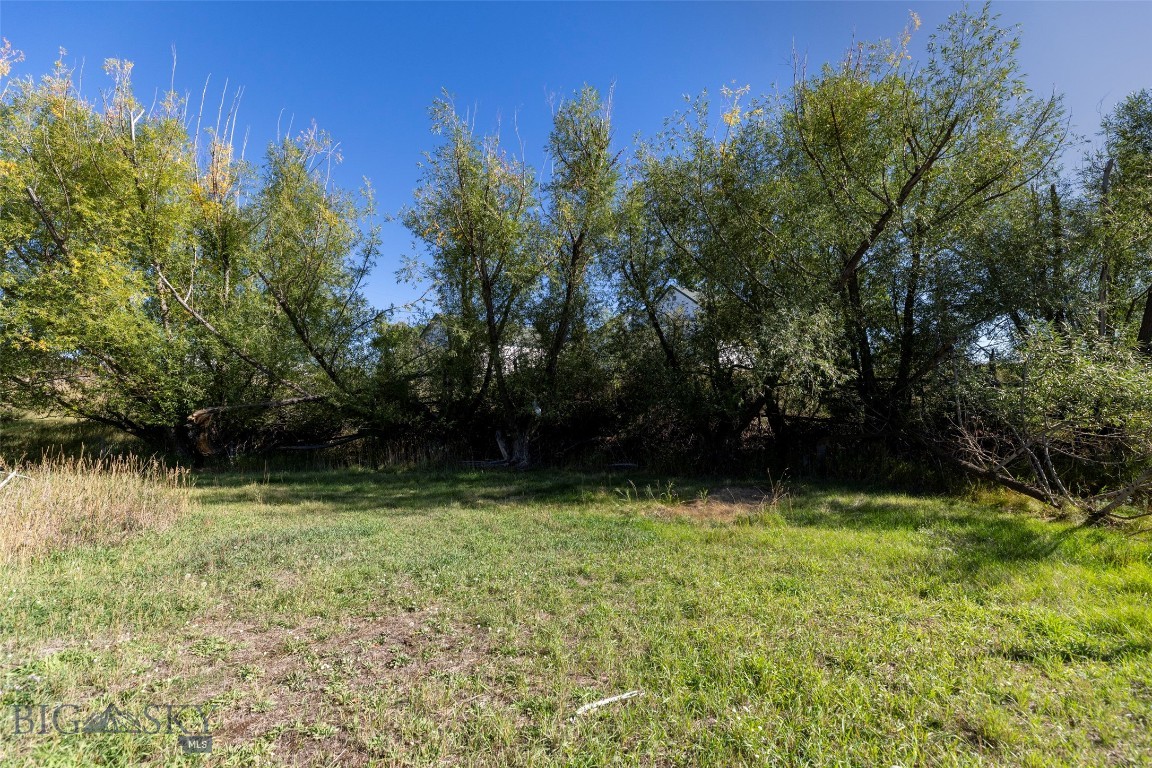 Tbd 2nd Avenue Property Photo 3