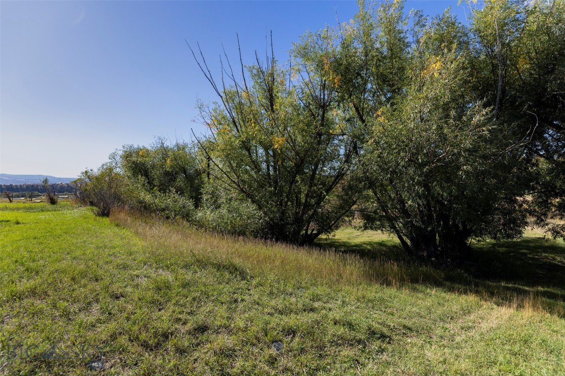 Tbd 2nd Avenue Property Photo 8